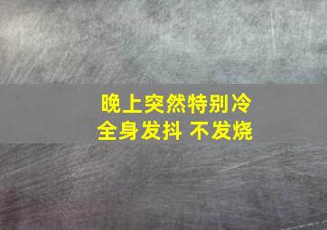 晚上突然特别冷全身发抖 不发烧